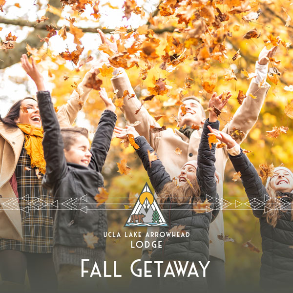 guests play with fallen leaves