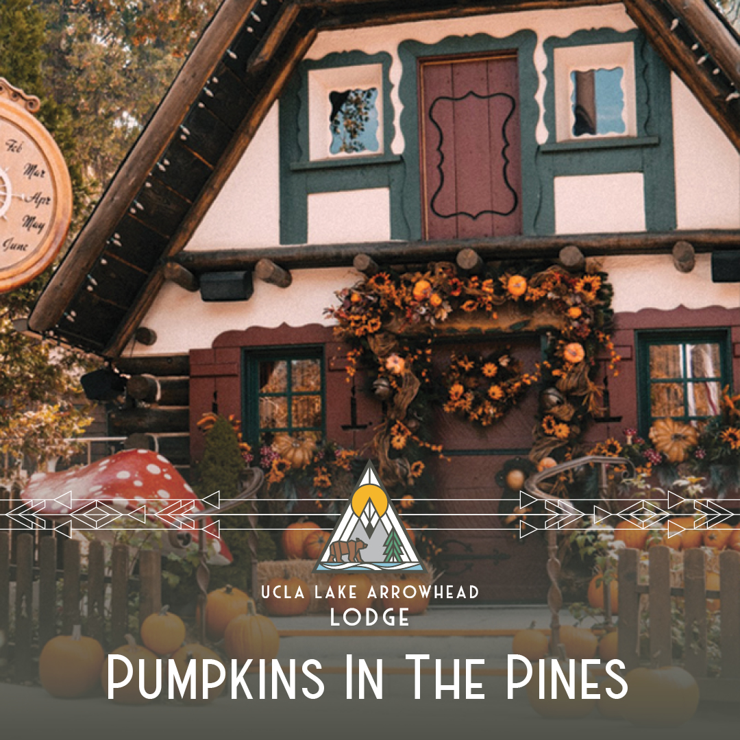 Sky Park Pumpkins in the Pines