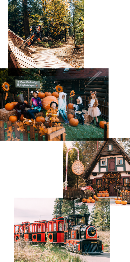 a variety of exciting amenities await guest at both Lake Arrowhead Lodge and Sky Park