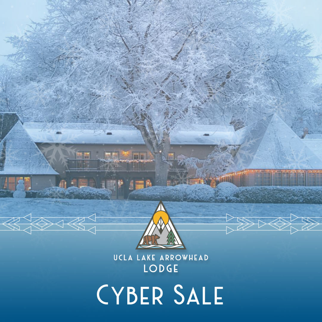 Cyber Sale